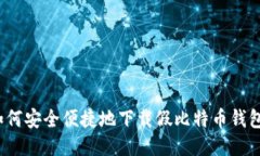 如何安全便捷地下载假比